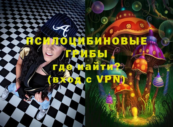 2c-b Богородицк