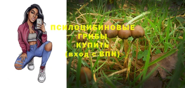 каннабис Богданович