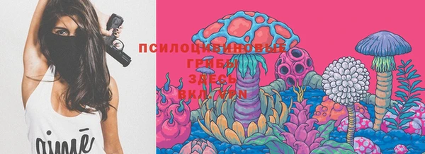 каннабис Богданович