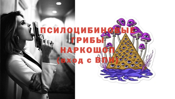 2c-b Богородицк